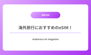 海外旅行 SIM