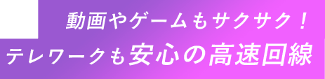 動画やゲームもサクサク！テレワークも安心の高速回線