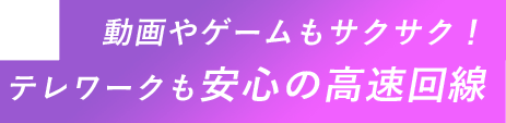 動画やゲームもサクサク!テレワークも安心の高速回線
