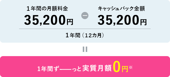 1年間の月額料金41,124円(税込) − キャッシュバック金額30,000円÷1年間(12ヶ月)=実質月額927円(税込)〜