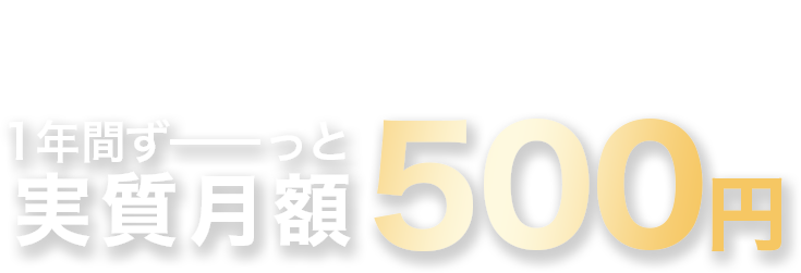 実質月額500円