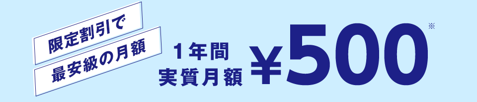 1年間実質月額￥500