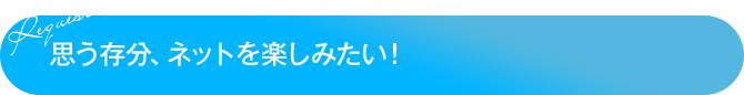 思う存分、ネットを楽しみたい！