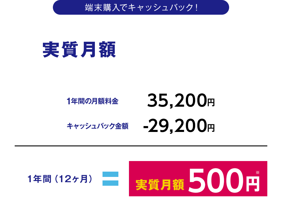 実質月額￥500～