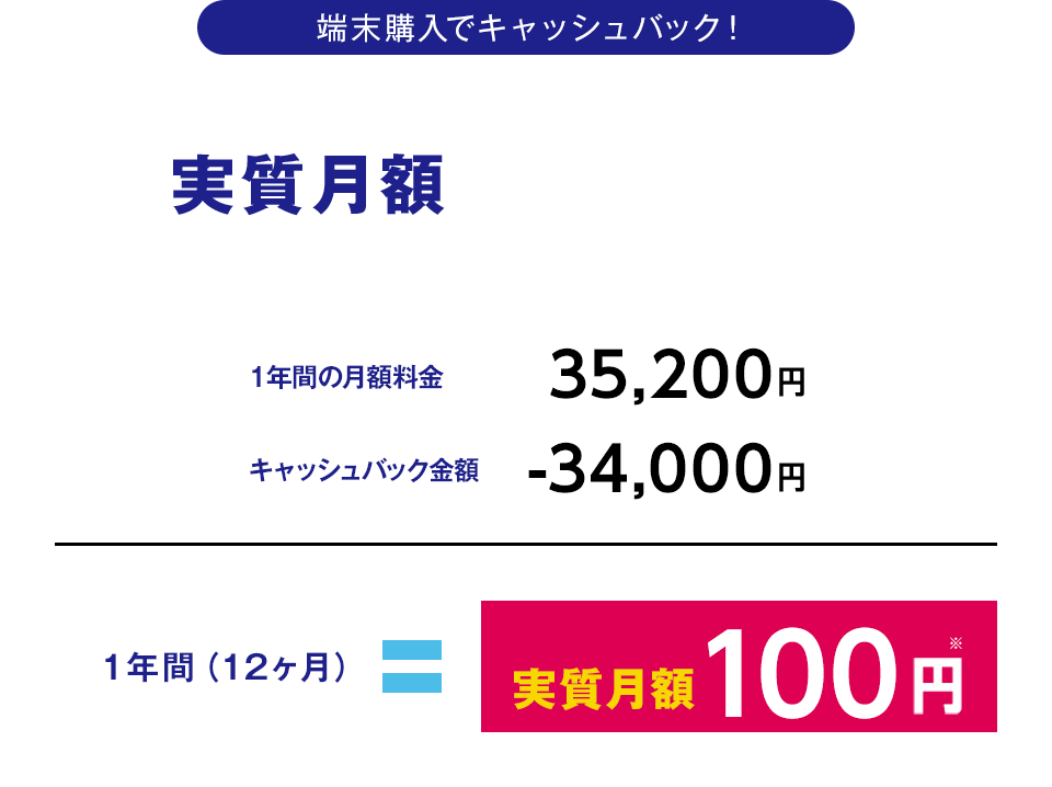 実質月額￥100～