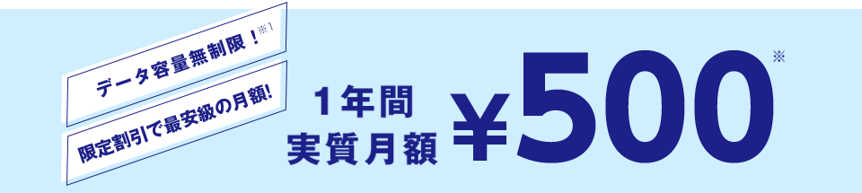 1年間実質月額￥500