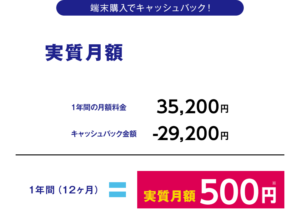 実質月額￥500～