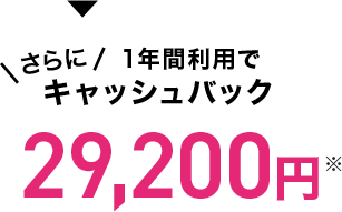 1年間利用でキャッシュバック29,200円(税込)