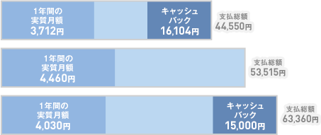 他社グラフ(1年間の支払総額比較)
