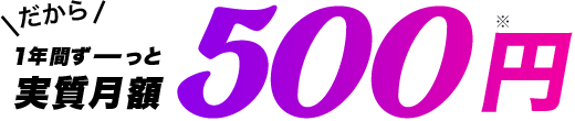 1年間ずーっと実質月額500円