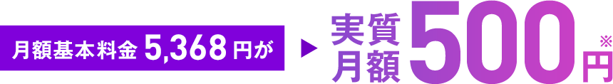 実質月額500円