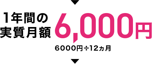 1年間の実質月額6,000円