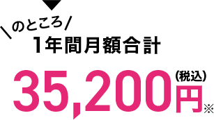 1年間月額合計35,200円(税込)