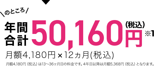 年間合計50,160円(税込)