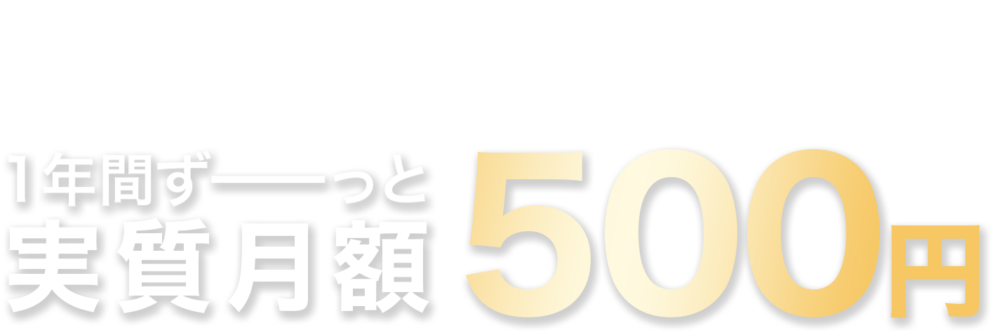 実質月額500円