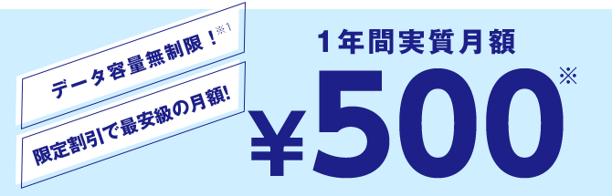 1年間実質月額¥500